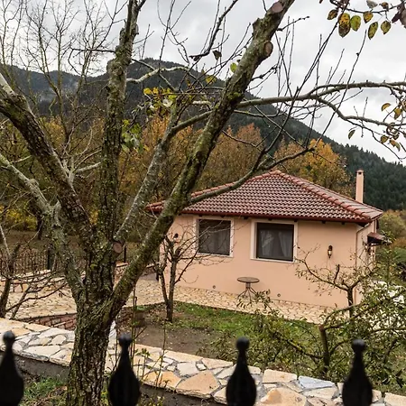 ονειροπαγιδα