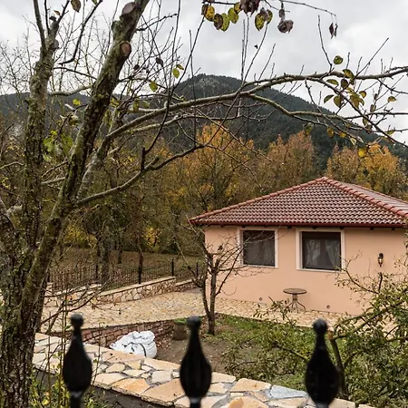 ονειροπαγιδα *