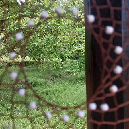 ονειροπαγιδα