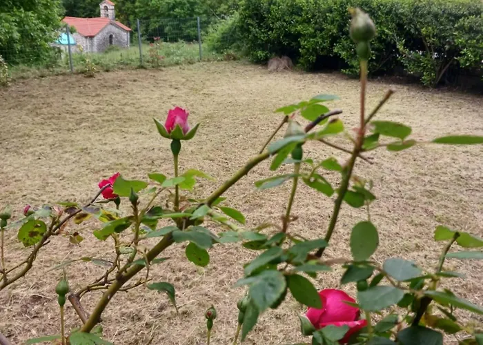 ονειροπαγιδα Καρπενήσι